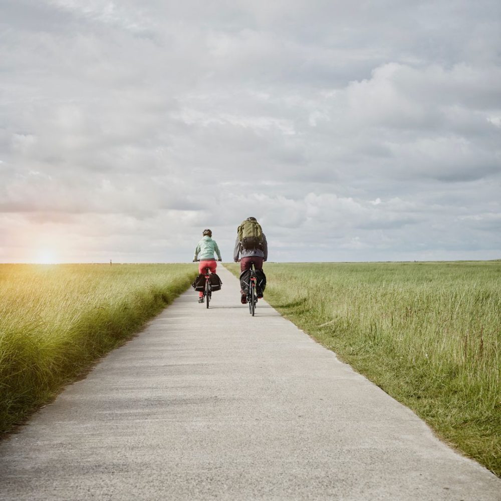 Bossen en polderlandschappen op de Veluwe in de omgeving van Residence 't Kleine Loo in Apeldoorn