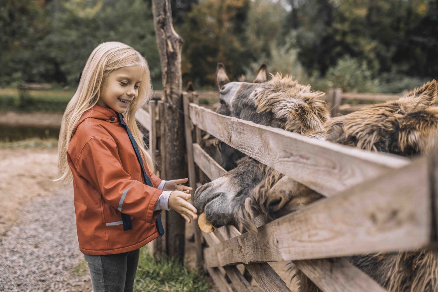 Close to nature. Blonde cute girl standing near the cattle-pen