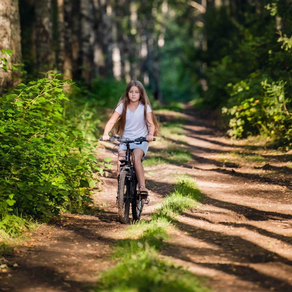 Wandelen en fietsen in de bossen van het Kroondomein van Paleis het Loo in Apeldoorn