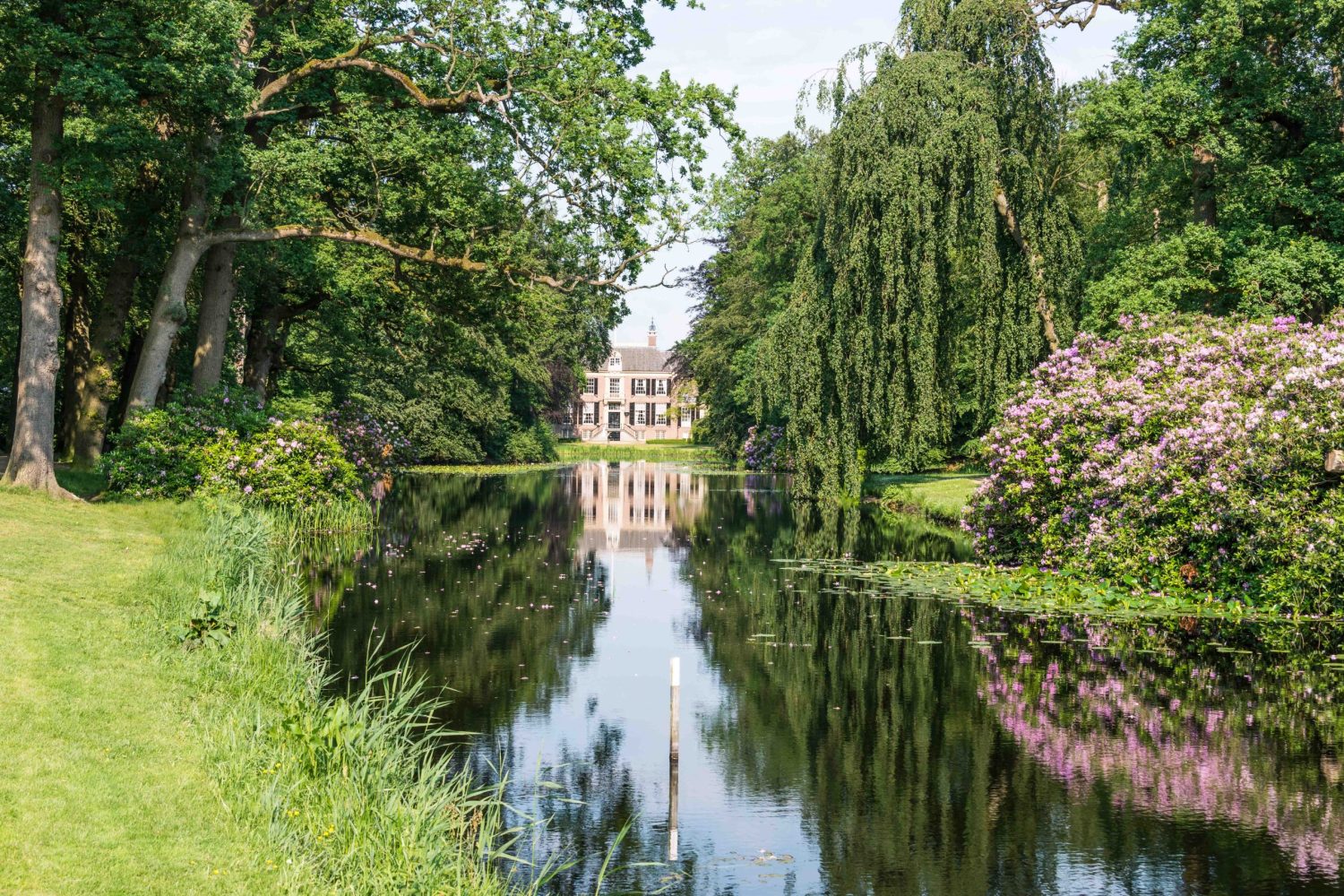 rhododendrons trees and other flowers reflect in garden caste groeneveld in Holland