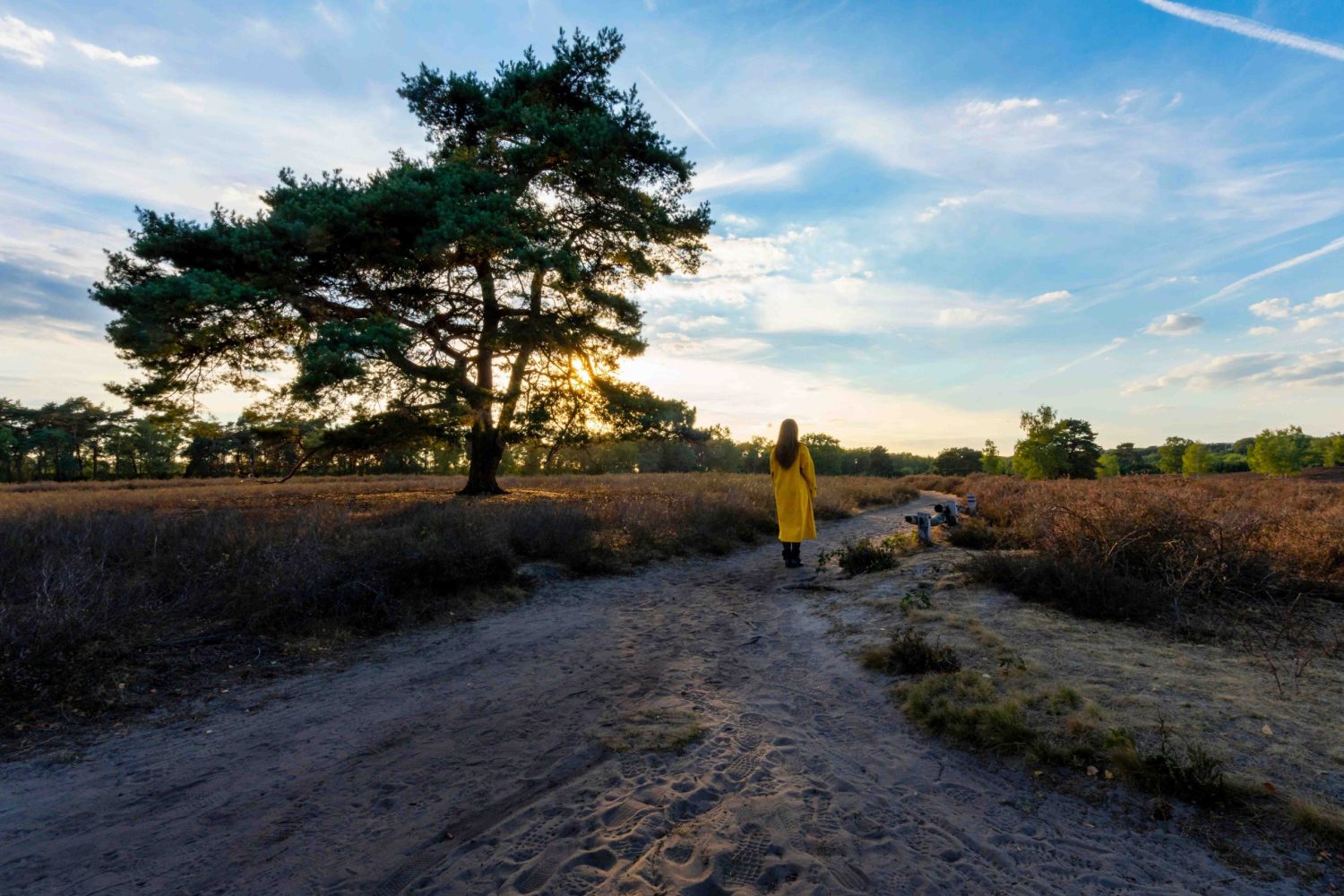 A girl in a yellow coat from behind walking on a countryside path on a sunny day